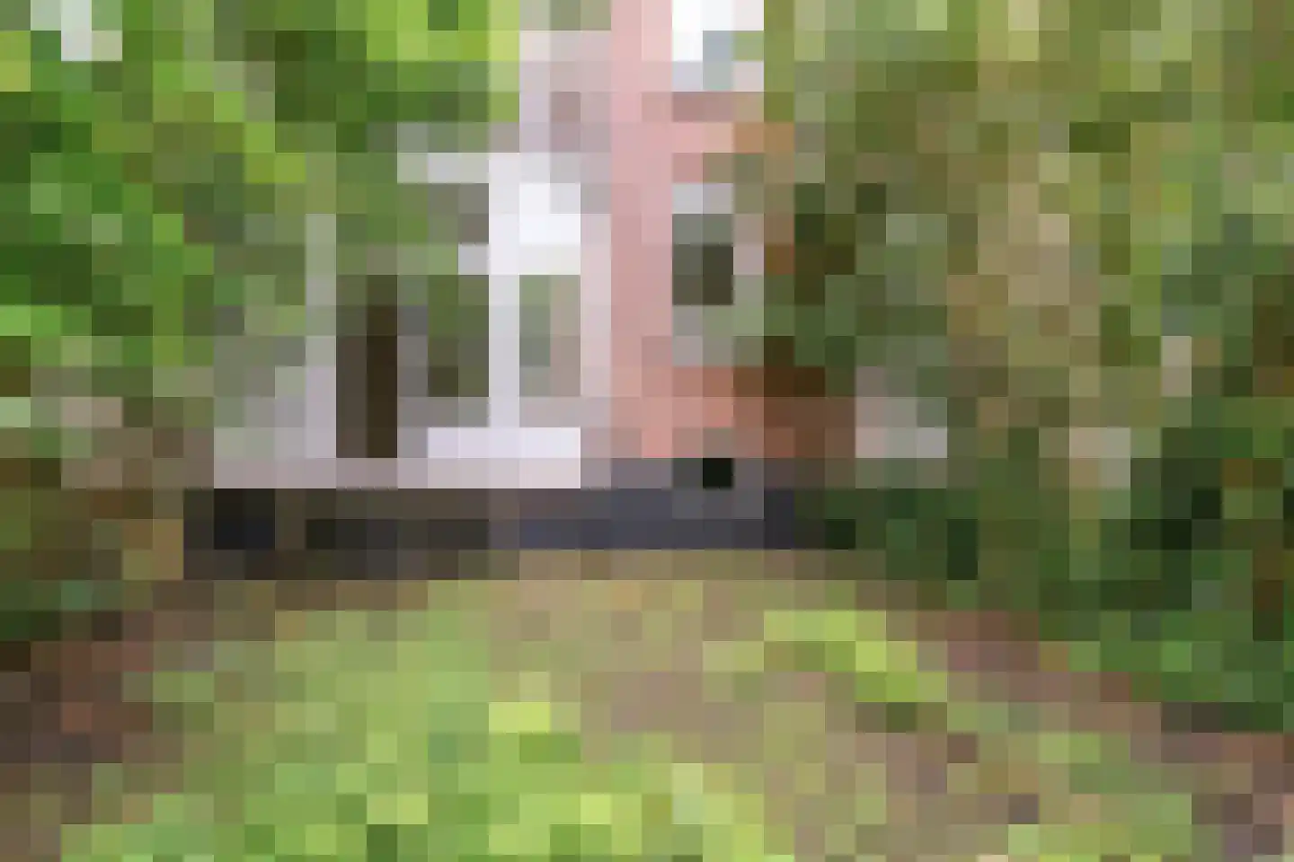 Sarphatipark 131 3 Amsterdam thumbnail 24