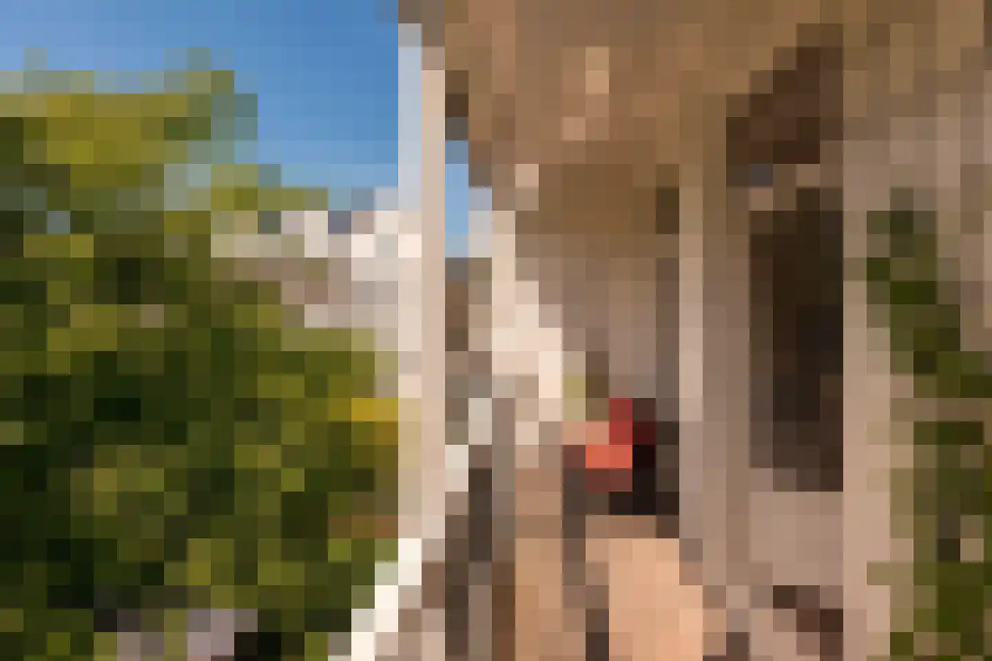 Sarphatipark 14 H Amsterdam thumbnail 14