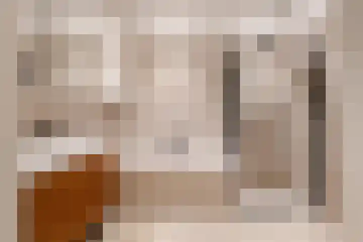 Sarphatipark 21 2 Amsterdam thumbnail 32