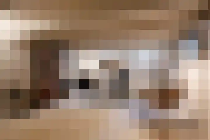 Sarphatipark 21 2 Amsterdam thumbnail 33