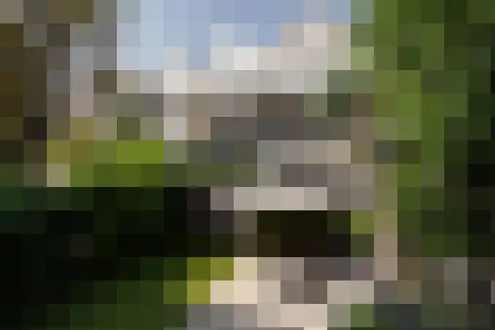 Sarphatipark 21 2 Amsterdam thumbnail 35