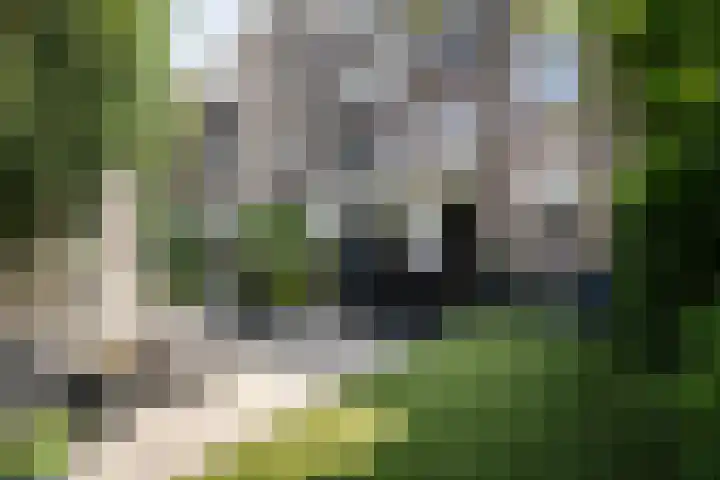 Sarphatipark 21 2 Amsterdam thumbnail 37