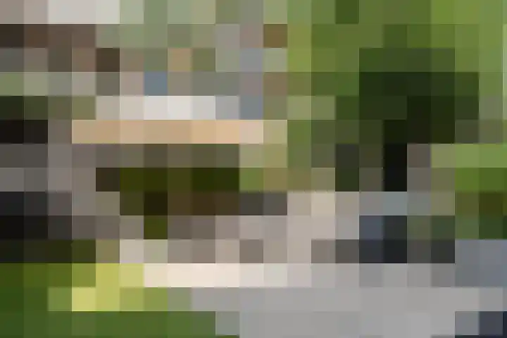 Sarphatipark 21 2 Amsterdam thumbnail 38