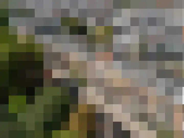 Sarphatipark 21 2 Amsterdam thumbnail 43