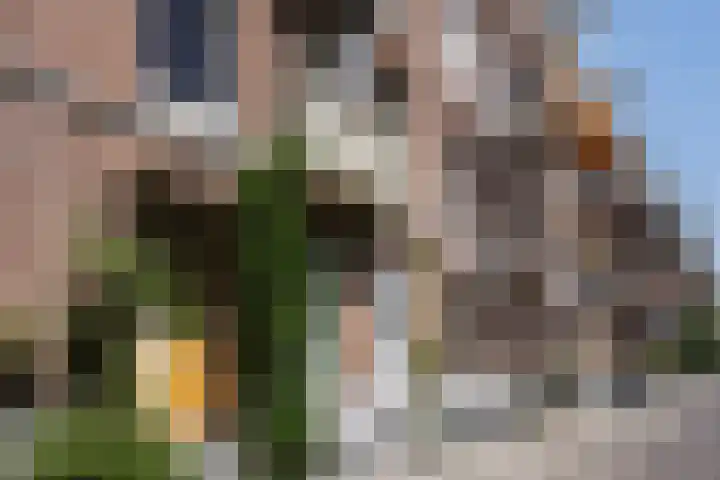 Sarphatipark 21 2 Amsterdam thumbnail 45