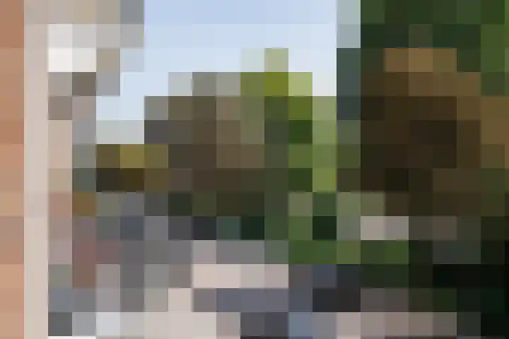 Sarphatipark 21 2 Amsterdam thumbnail 47