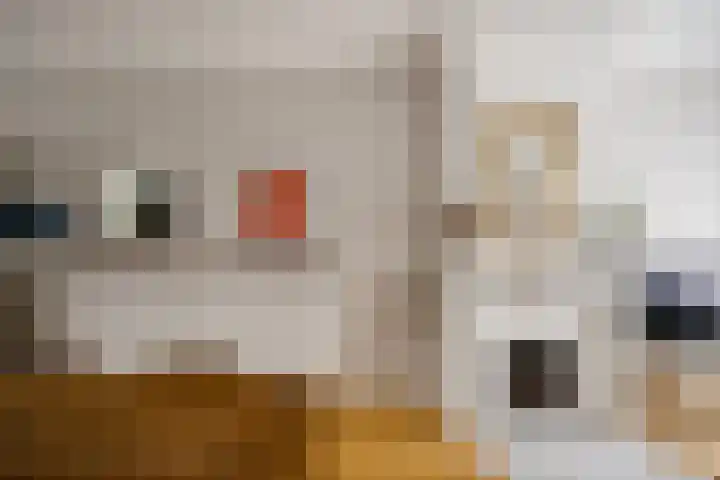Sarphatipark 21 2 Amsterdam thumbnail 7