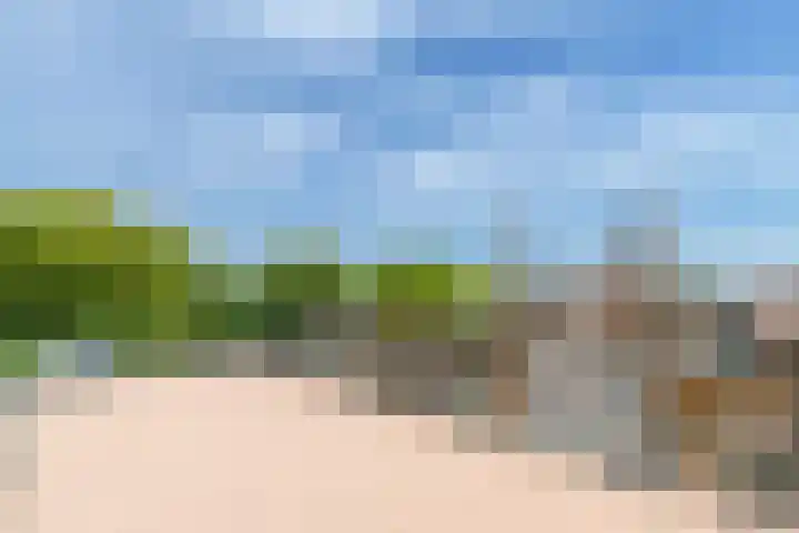 Sarphatipark 28 H Amsterdam thumbnail 35