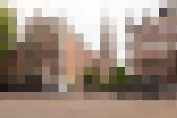 Sarphatipark 28 H Amsterdam thumbnail 44