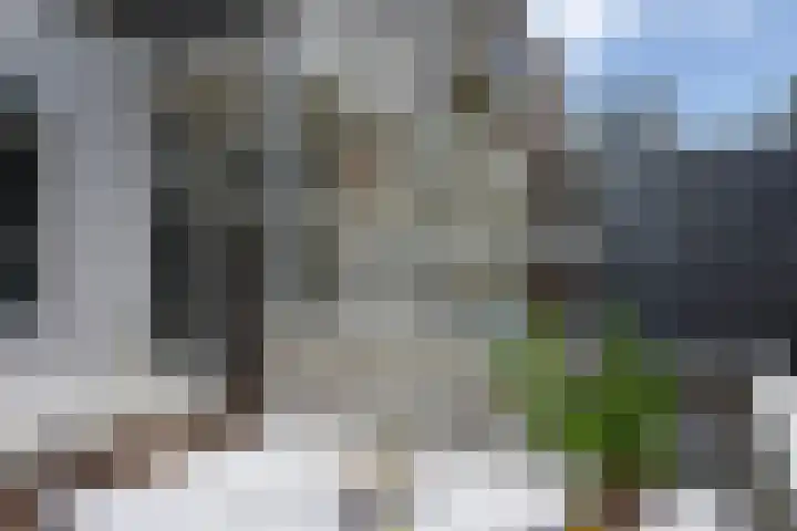 Sarphatipark 30 3 Amsterdam thumbnail 21