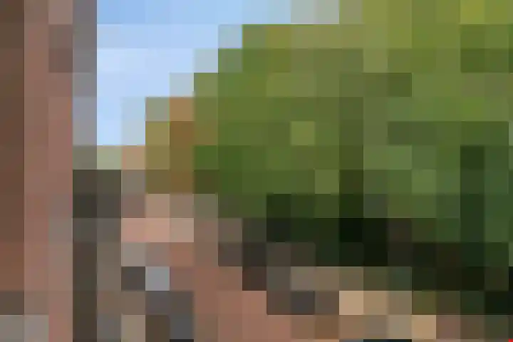 Sarphatipark 30 3 Amsterdam thumbnail 25
