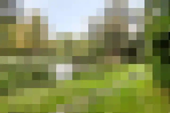 Sarphatipark 30 3 Amsterdam thumbnail 29