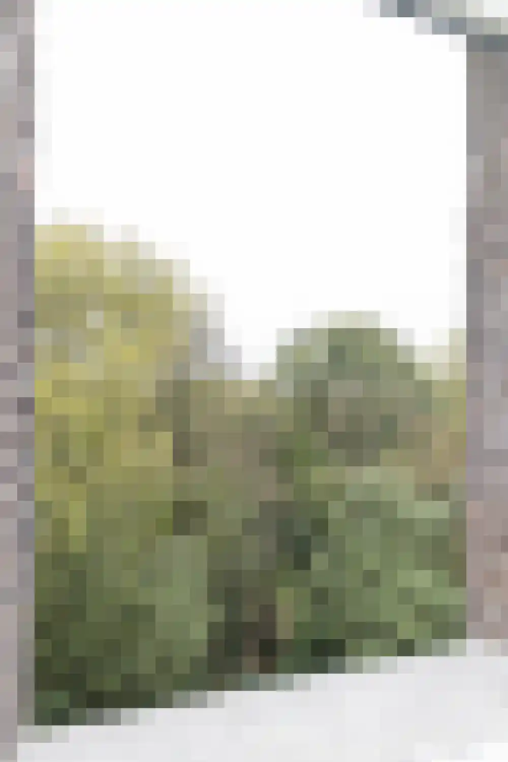 Sarphatipark 30 Amsterdam thumbnail 9