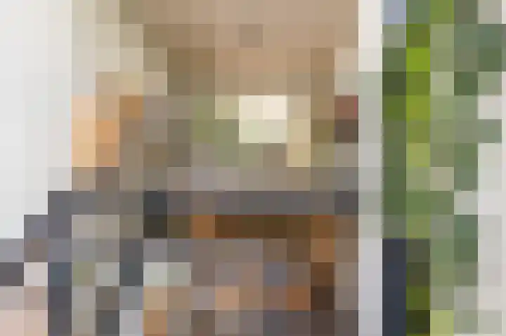 Sarphatipark 33 H Amsterdam foto 3