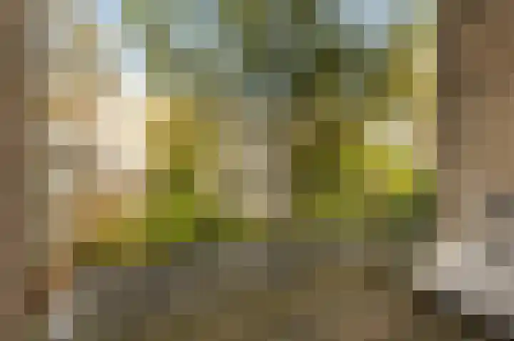 Sarphatipark 33 H Amsterdam thumbnail 44