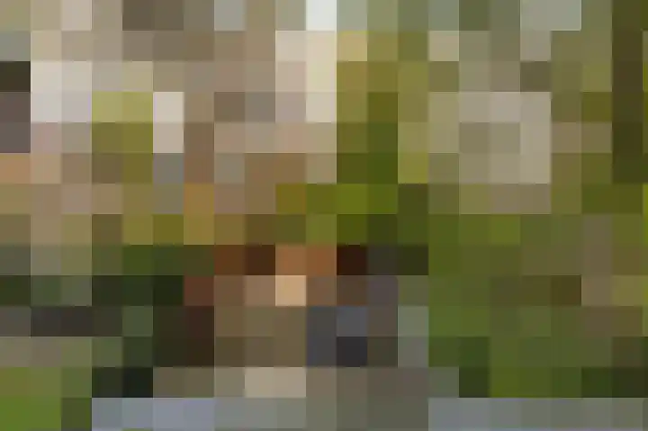 Sarphatipark 33 H Amsterdam thumbnail 45