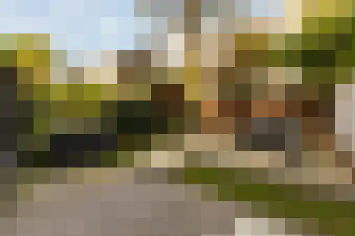 Sarphatipark 33 H Amsterdam thumbnail 46