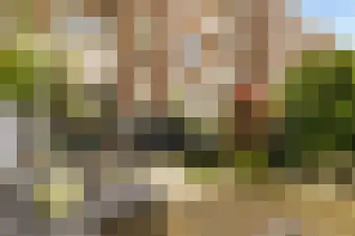 Sarphatipark 33 H Amsterdam thumbnail 48