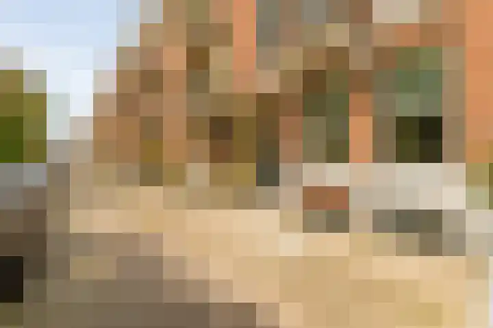 Sarphatipark 33 H Amsterdam thumbnail 5