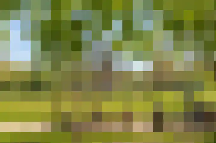 Sarphatipark 33 H Amsterdam thumbnail 54