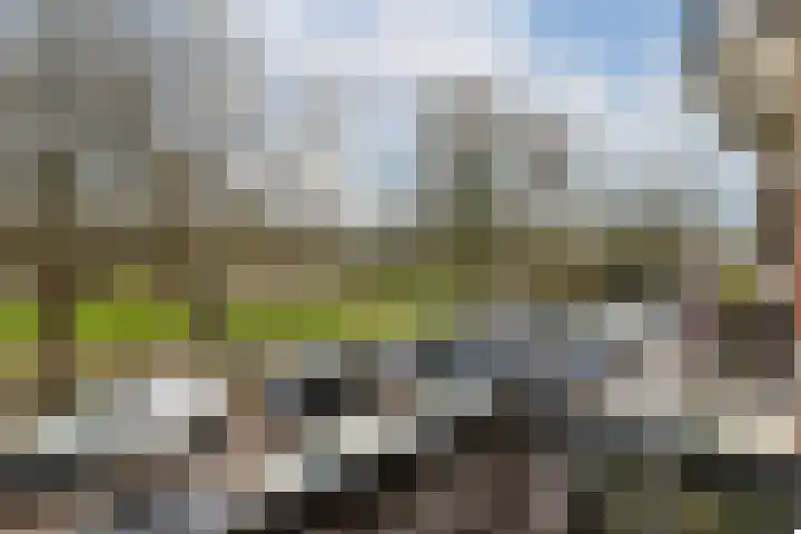 Sarphatipark 45 1 Amsterdam thumbnail 10