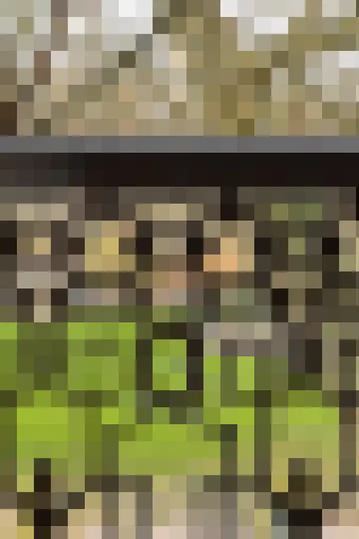 Sarphatipark 45 1 Amsterdam thumbnail 11