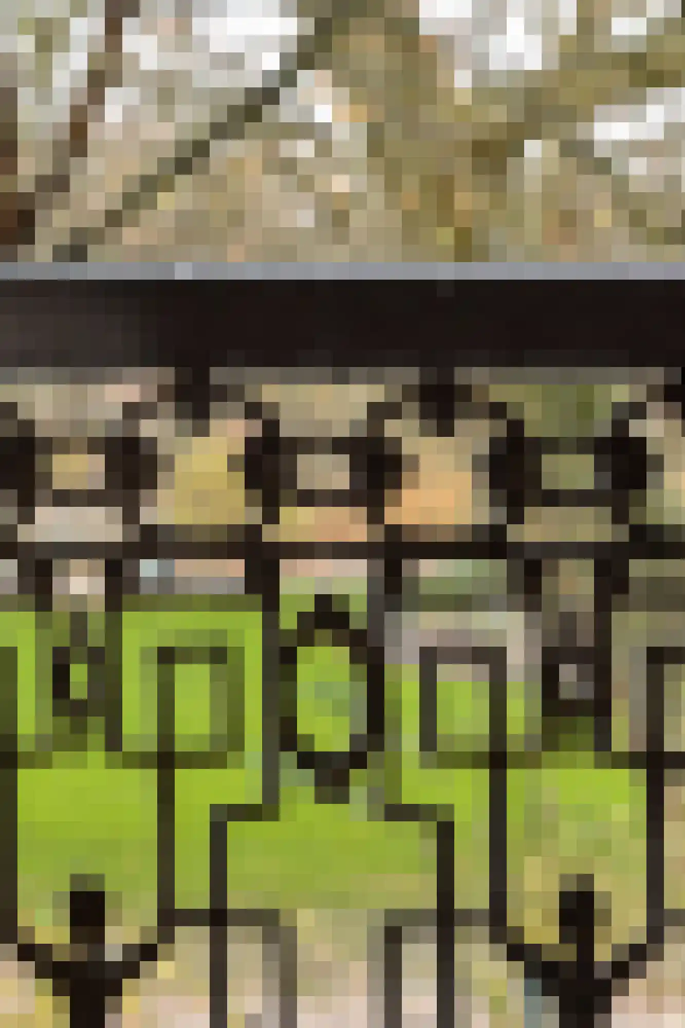 Sarphatipark 45 1 Amsterdam thumbnail 11