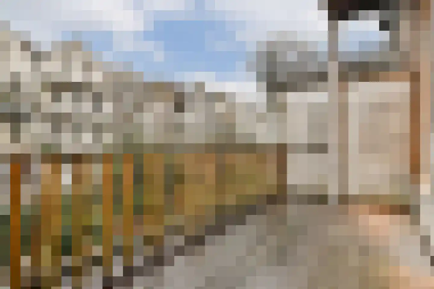 Sarphatipark 45 1 Amsterdam thumbnail 16