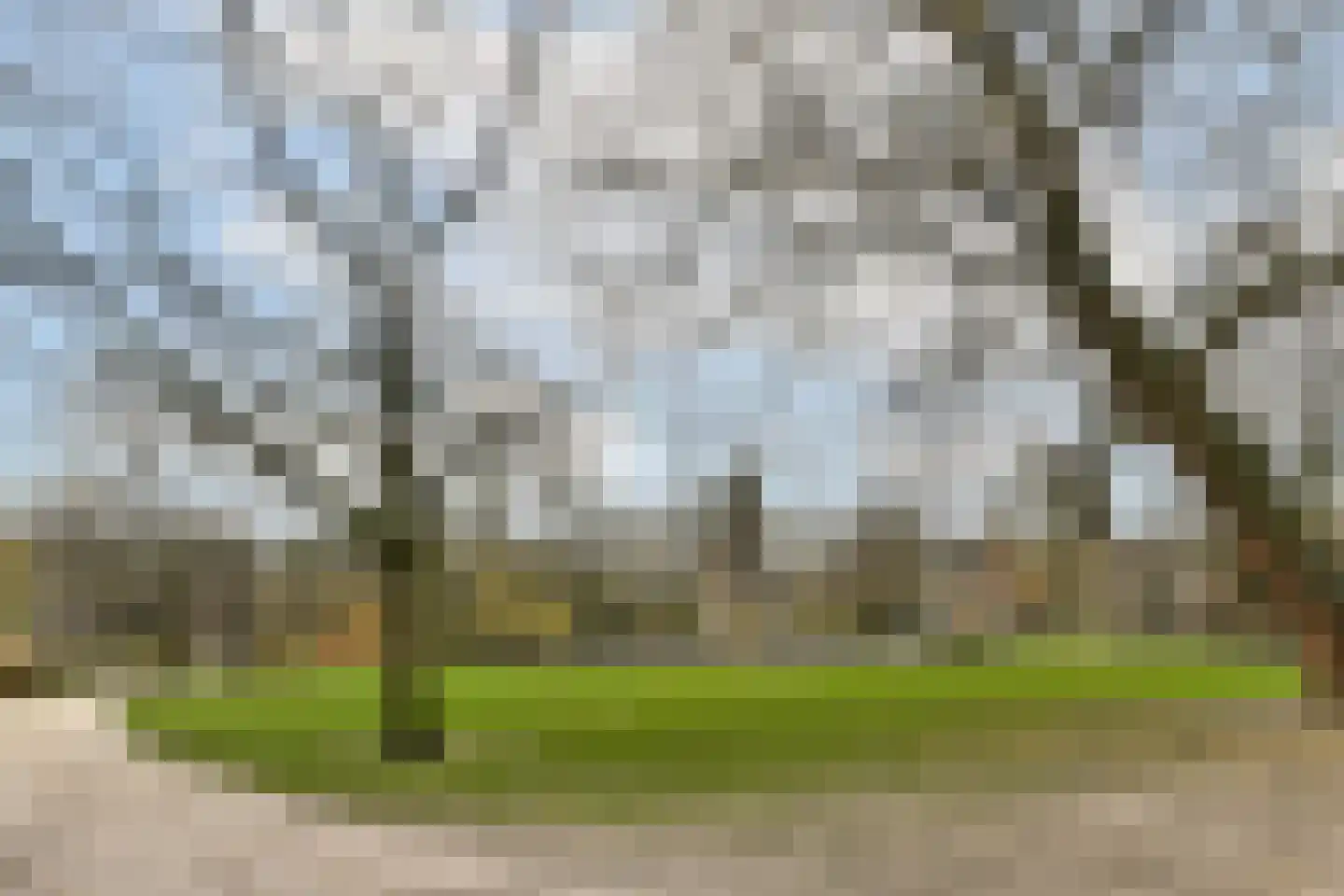 Sarphatipark 45 1 Amsterdam thumbnail 27