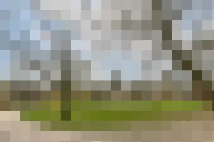 Sarphatipark 45 1 Amsterdam thumbnail 27