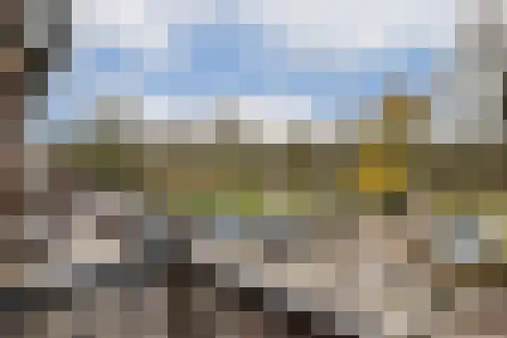 Sarphatipark 45 1 Amsterdam thumbnail 9