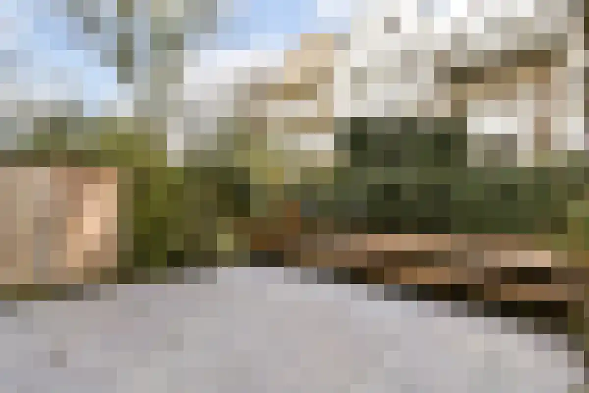 Sarphatipark 45 Amsterdam thumbnail 4