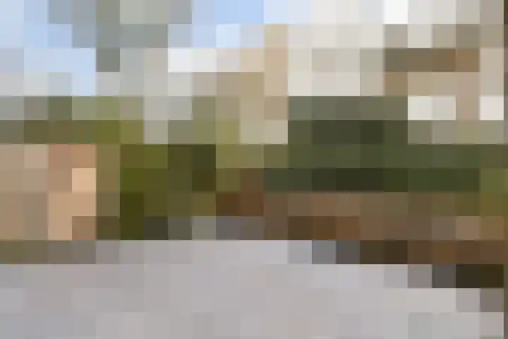 Sarphatipark 45 H Amsterdam thumbnail 10
