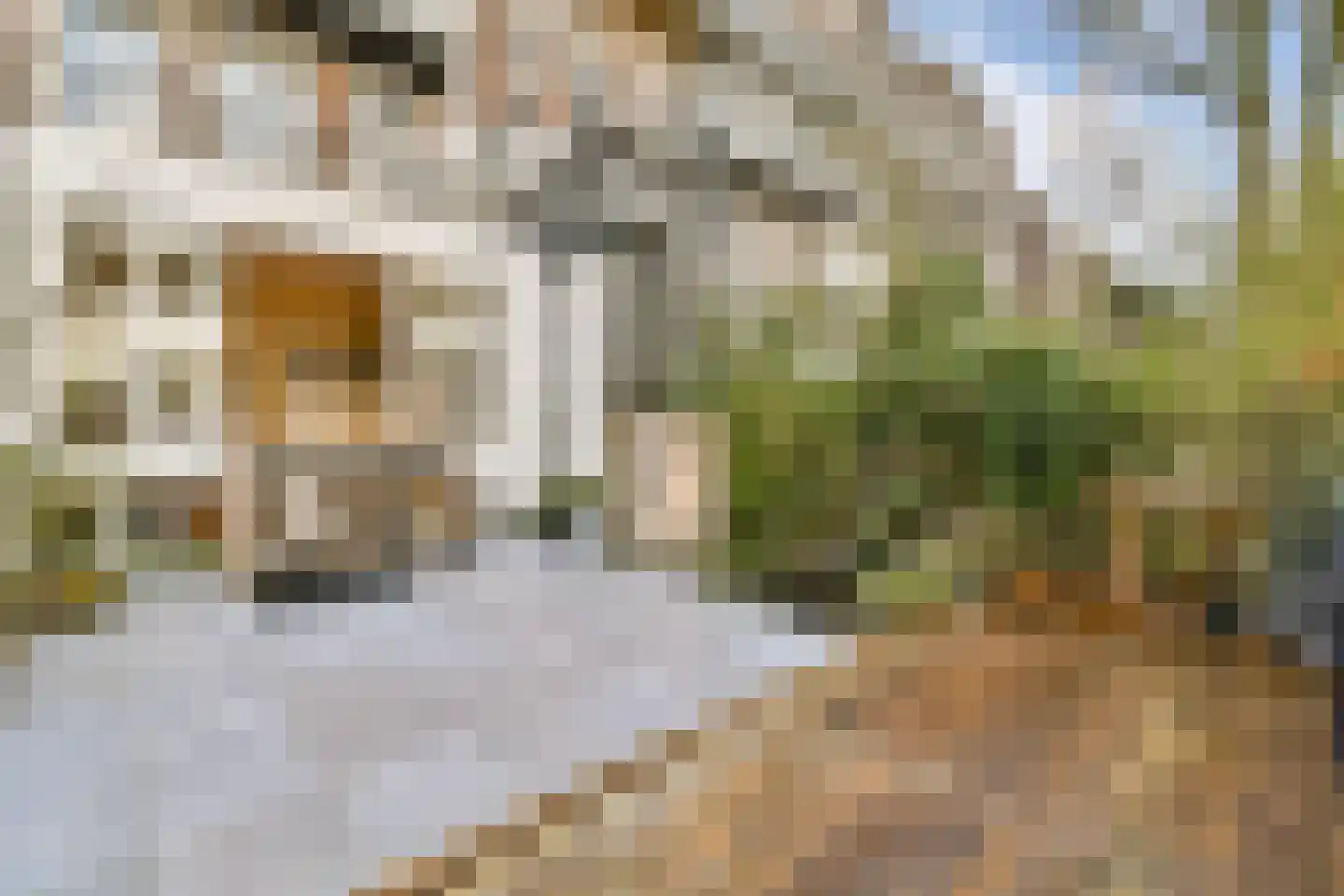 Sarphatipark 45 H Amsterdam thumbnail 10