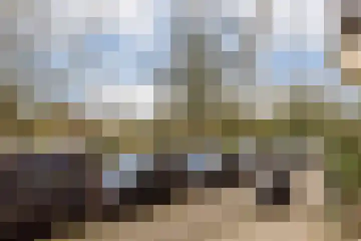 Sarphatipark 45 H Amsterdam thumbnail 25
