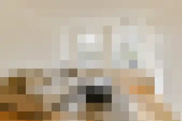 Sarphatipark 45 H Amsterdam thumbnail 6