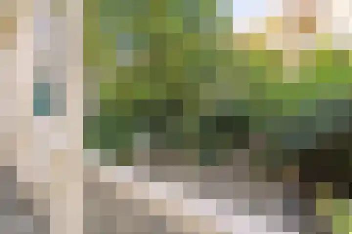 Sarphatipark 51 2 Amsterdam thumbnail 16