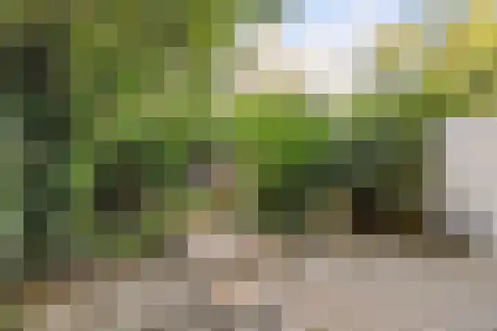 Sarphatipark 51 2 Amsterdam thumbnail 17