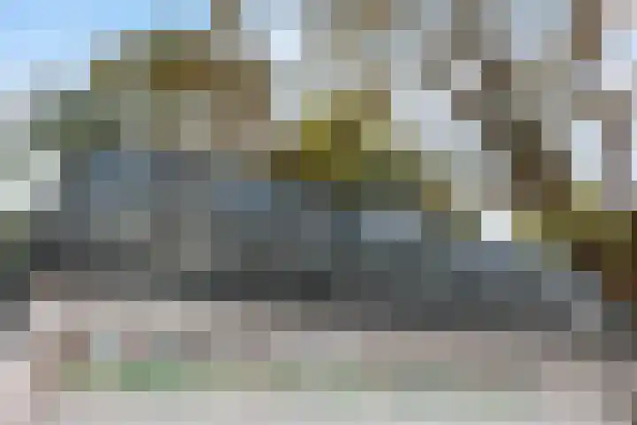 Sarphatipark 51 2 Amsterdam thumbnail 31