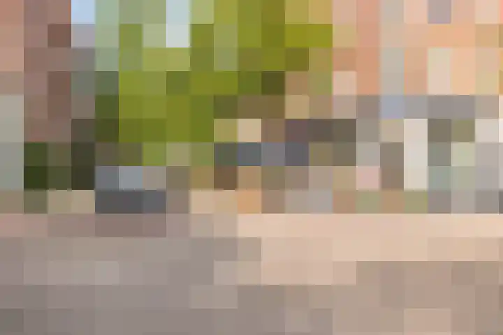Sarphatipark 51 2 Amsterdam thumbnail 34