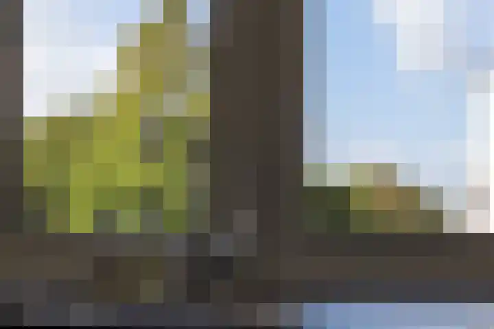 Sarphatipark 6 1 Amsterdam thumbnail 11