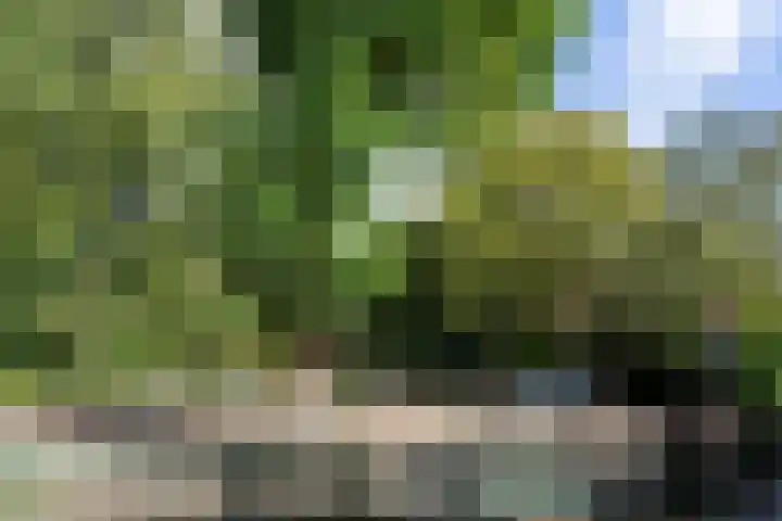 Sarphatipark 6 1 Amsterdam thumbnail 16