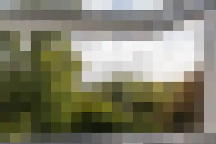 Sarphatipark 6 1 Amsterdam thumbnail 17