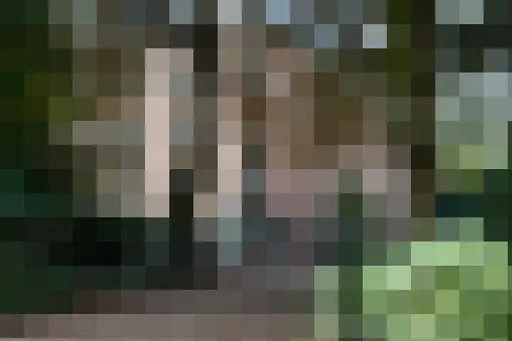 Sarphatipark 6 1 Amsterdam thumbnail 18