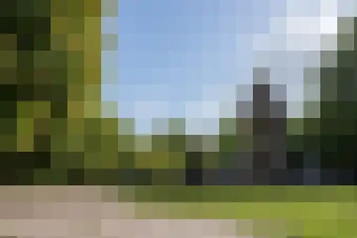 Sarphatipark 6 1 Amsterdam thumbnail 27