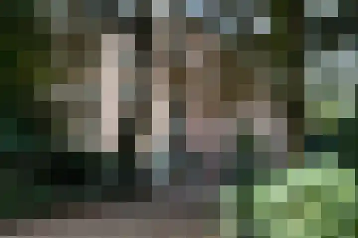 Sarphatipark 6 1 Amsterdam thumbnail 28