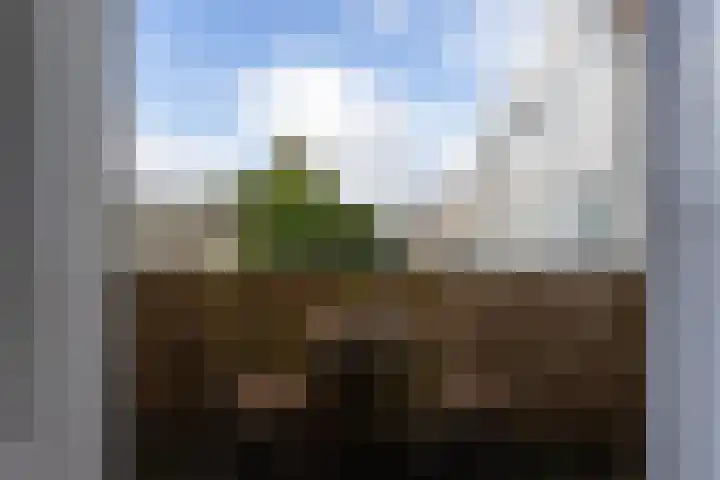 Sarphatipark 6 1 Amsterdam thumbnail 4
