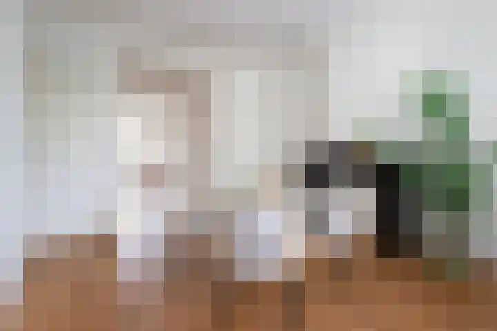 Sarphatipark 6 1 Amsterdam thumbnail 9