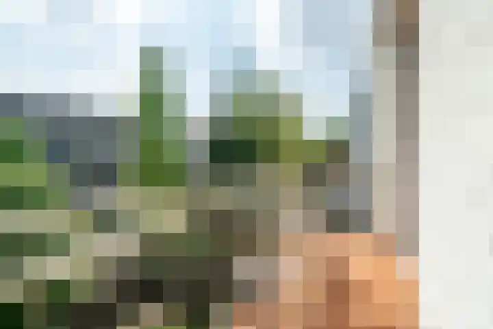 Sarphatipark 66 B Amsterdam thumbnail 17