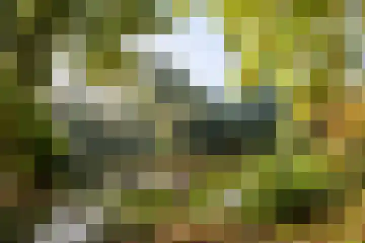 Sarphatipark 66 B Amsterdam thumbnail 25
